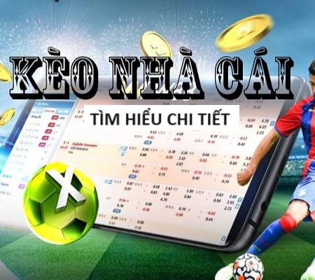 Cá Cược AFF Cup Việt Nam – Bonus Khủng Cho Fan