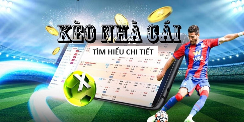 Cá Cược AFF Cup Việt Nam - Bonus Khủng Cho Fan